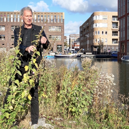 Amsterdam zet tandje bij voor (on)beschermde planten
