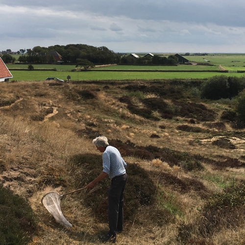 De Zandkuil: het oudste insectenreservaat van Nederland