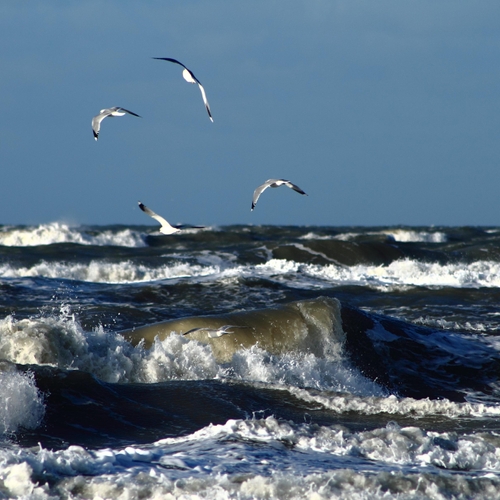 Afbeelding van In gesprek met de Noordzee