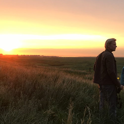 Het Verdronken land van Saeftinghe: de laatste delta van Nederland