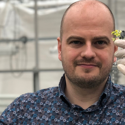 Afbeelding van Mijnbouw met behulp van plantjes