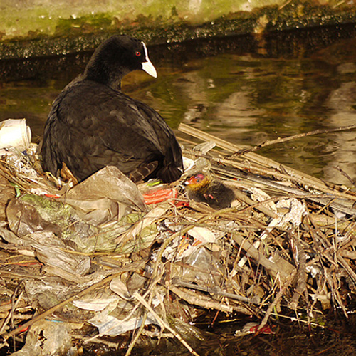 Plastic uit de gracht wordt kantoormeubilair