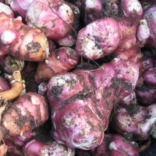 Meer aardpeerrecepten