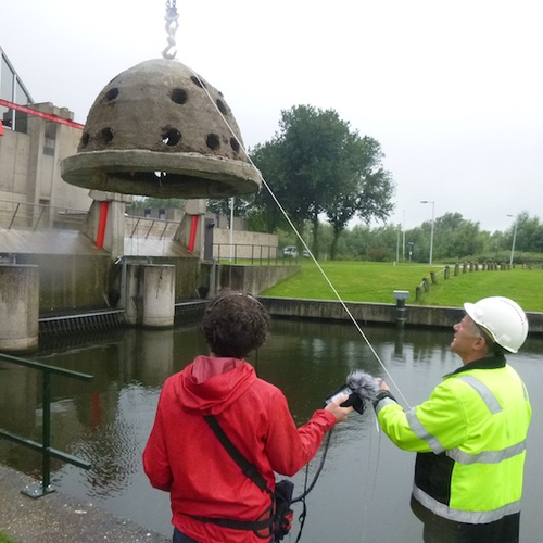 Rifkorven schuilplek voor jonge vis