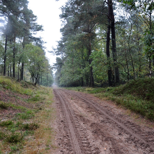 Pantserwagen helpt bij dierlijke voorplanting