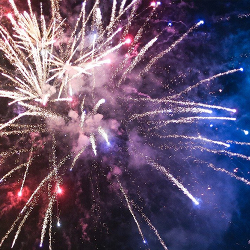 Afbeelding van Dierenbescherming vreest meer dierenleed dan ooit door vuurwerk