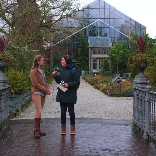 Afbeelding van Zo klinkt de Hortus Botanicus te Leiden