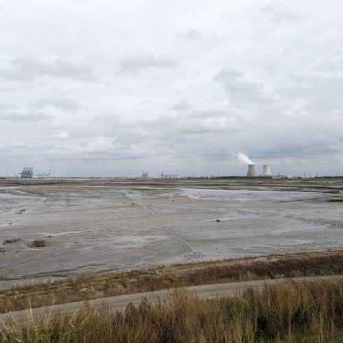 Afbeelding van Zeeuwse Landschap de nieuwe eigenaar van natuurgebied Hedwigepolder