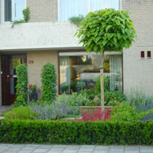 Planten of tegels in voortuin 'besmettelijk'