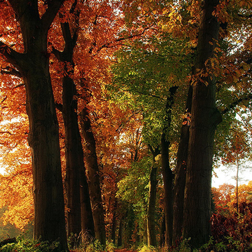 Minder subsidie provinciale natuurbeschermers