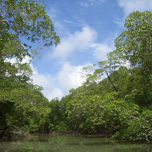 Snowboardster in de Amazone