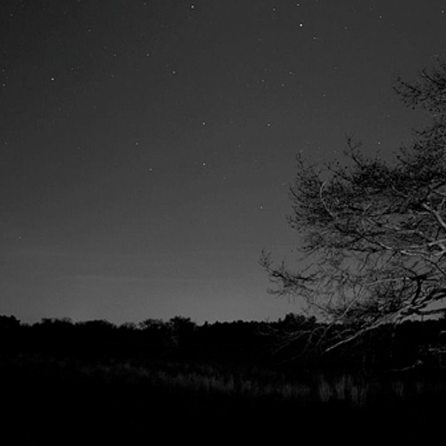 De lichten doven tijdens Nacht van de Nacht