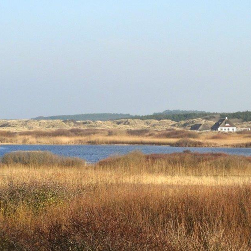 Boorlocatie weggespoeld, strand Ameland ruikt naar olie