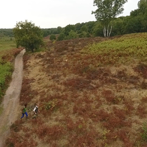 Het terrassenlandschap van de Meinweg