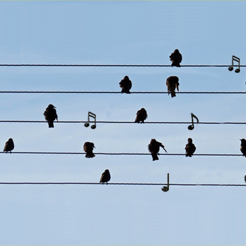 Muziek 5 januari 2025