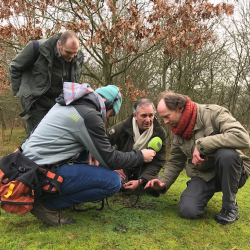 5000-soortenjaar in de Hollandse Duinen