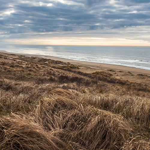 Hollandse Duinen: iedere dag anders