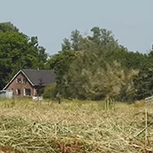 Opvliegende hooiduivels