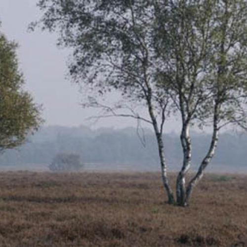 Ontstaan Goois Natuurreservaat