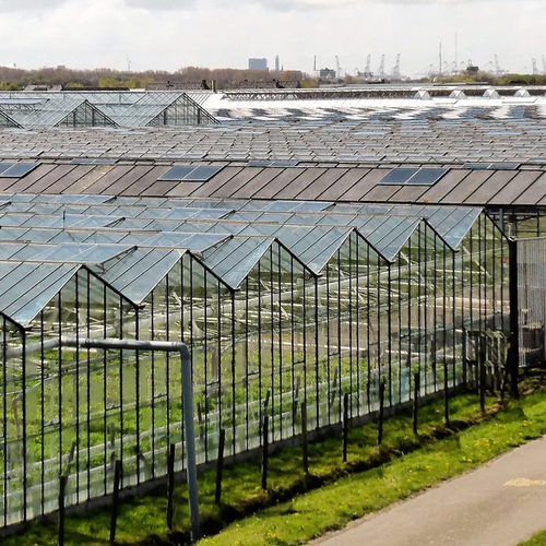 Boeren en tuinders rekenen op 5 miljard schade door coronavirus