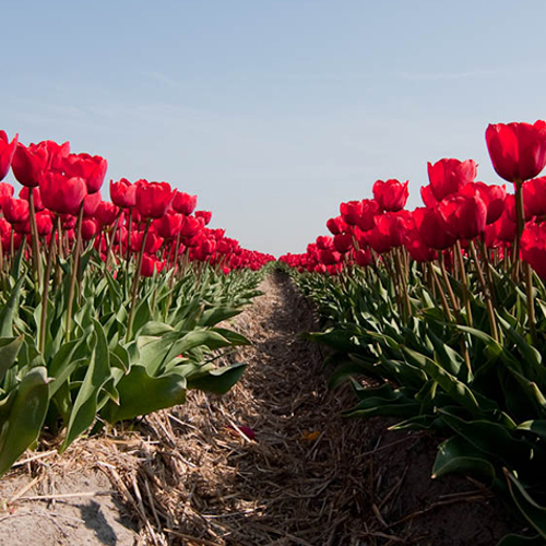 Overheid in gebreke vanwege geheime gegevens over landbouwgif