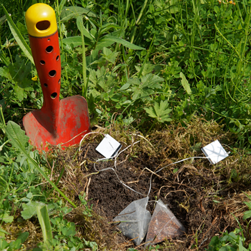 Klimaatverandering in een theezakje