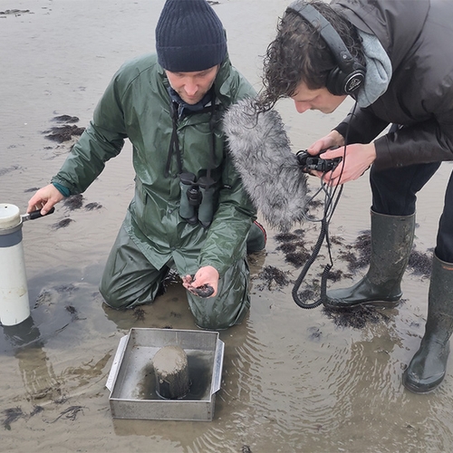 Afbeelding van Onze natuur betaalt de prijs voor gaswinning in de Waddenzee