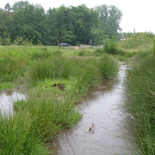 Opnieuw te hoge concentratie PFOS gemeten in Twentse beek