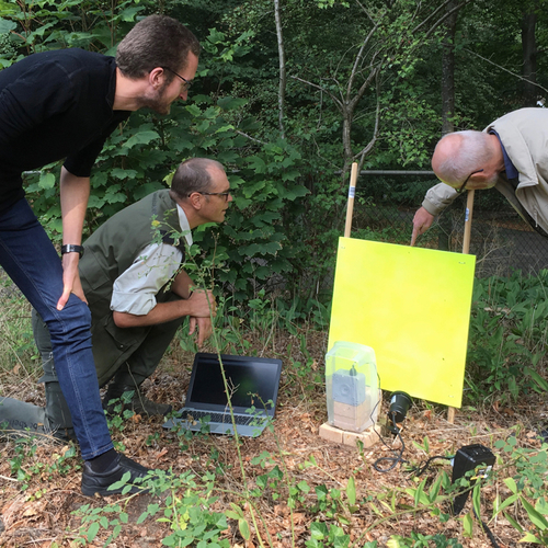 Automatisch insecten tellen en herkennen