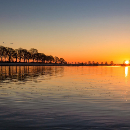 Afbeelding van Limburgse Maas nog steeds te vervuild voor drinkwaterwinning