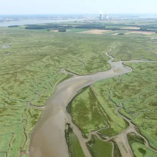 Afbeelding van Zeeuwse natuurbeheerder kunnen maar weinig olie weghalen