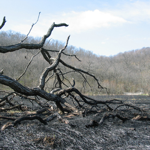 Noodweer blust brand Athene