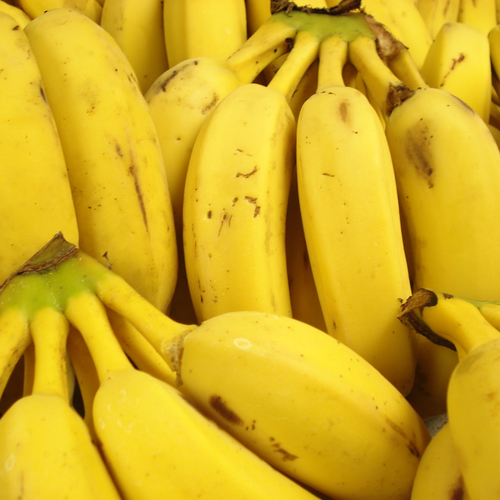 Nieuwe stap in ontwikkeling duurzame banaan