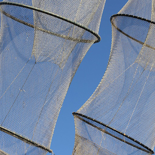 Nog steeds stroperij in Nederlandse natuur