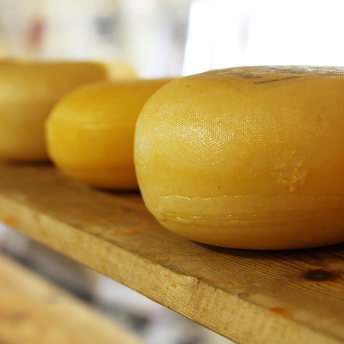Those Vegan Cowboys maken eerste 'echte' kaas zonder dieren