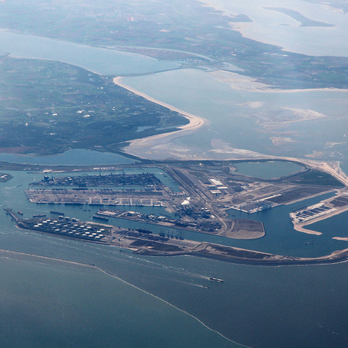 Afbeelding van 'Compensatienatuur na aanleg Tweede Maasvlakte is onvoldoende'