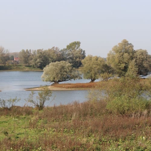 Afbeelding van Rijkswaterstaat: waterafvoer Rijn laagste ooit in juli