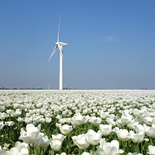 Hoekstra tevreden met EU 'sleuteldossier' Klimaat en Schone Groei