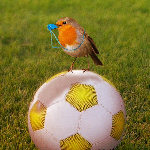 Luister naar NATUUR LANGS DE LIJN