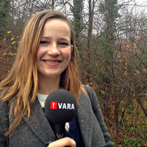 Lies Visschedijk: Het schrijvertje