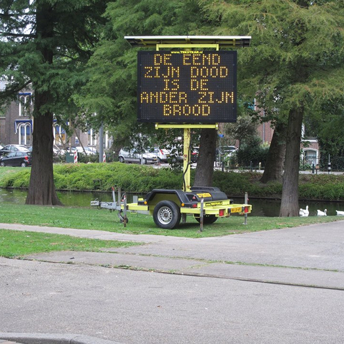 Activistische eenden