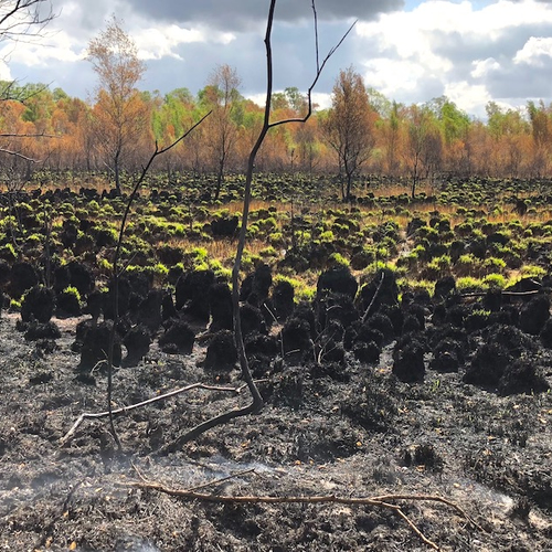 De Deurnese Peel na de brand