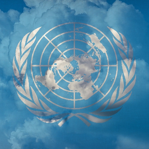 Afbeelding van De jonge klimaatbeweging blikt terug op VN-klimaattop