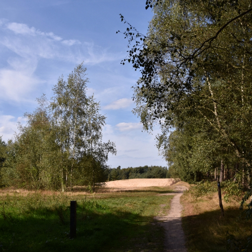 Lekkende vuilnisbelt vervuilt grondwater natuurgebied