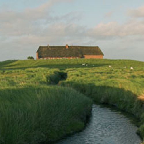 Etappe 8 en 9: Friesland
