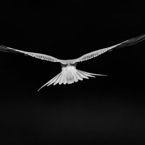 Uit varen met natuurfotograaf Jan van der Greef