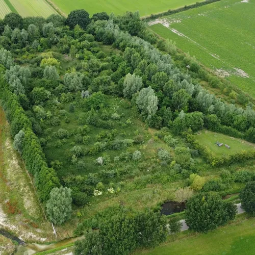 'Eat more trees', drijvende tuinen en overige onderwerpen