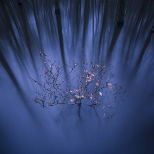 Jonge student wordt natuurfotograaf van het jaar