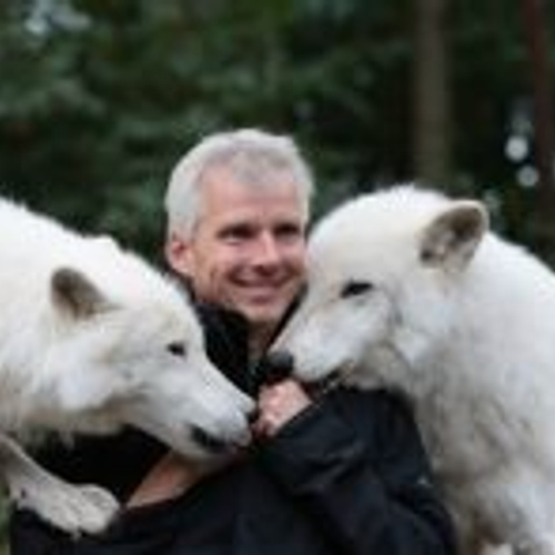 Dik van der Meulen: Thijsse’s Vogeljaar