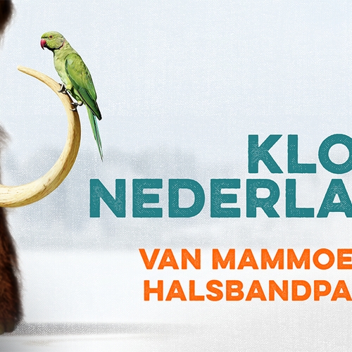 Nieuwe podcast: 'Zo Klonk Nederland, van mammoet tot halsbandparkiet'